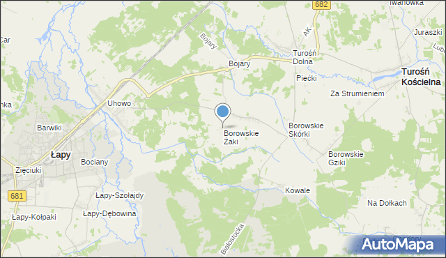 mapa Borowskie Żaki, Borowskie Żaki na mapie Targeo